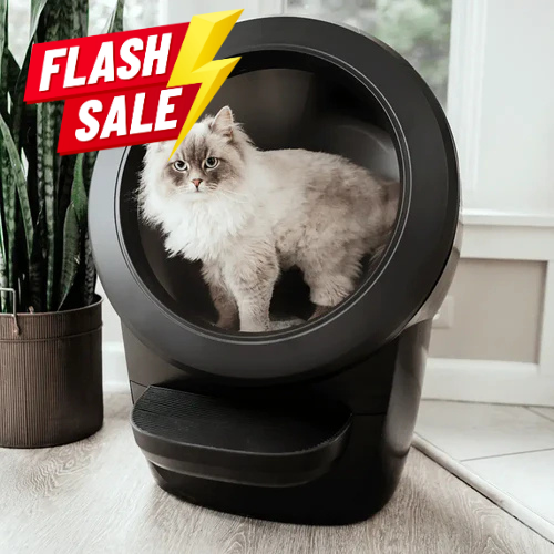 PurrEase™ Smart Self-Cleaning Litter House